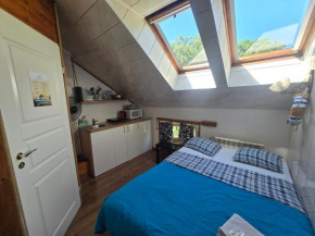 6B Meridian studio with Sauna